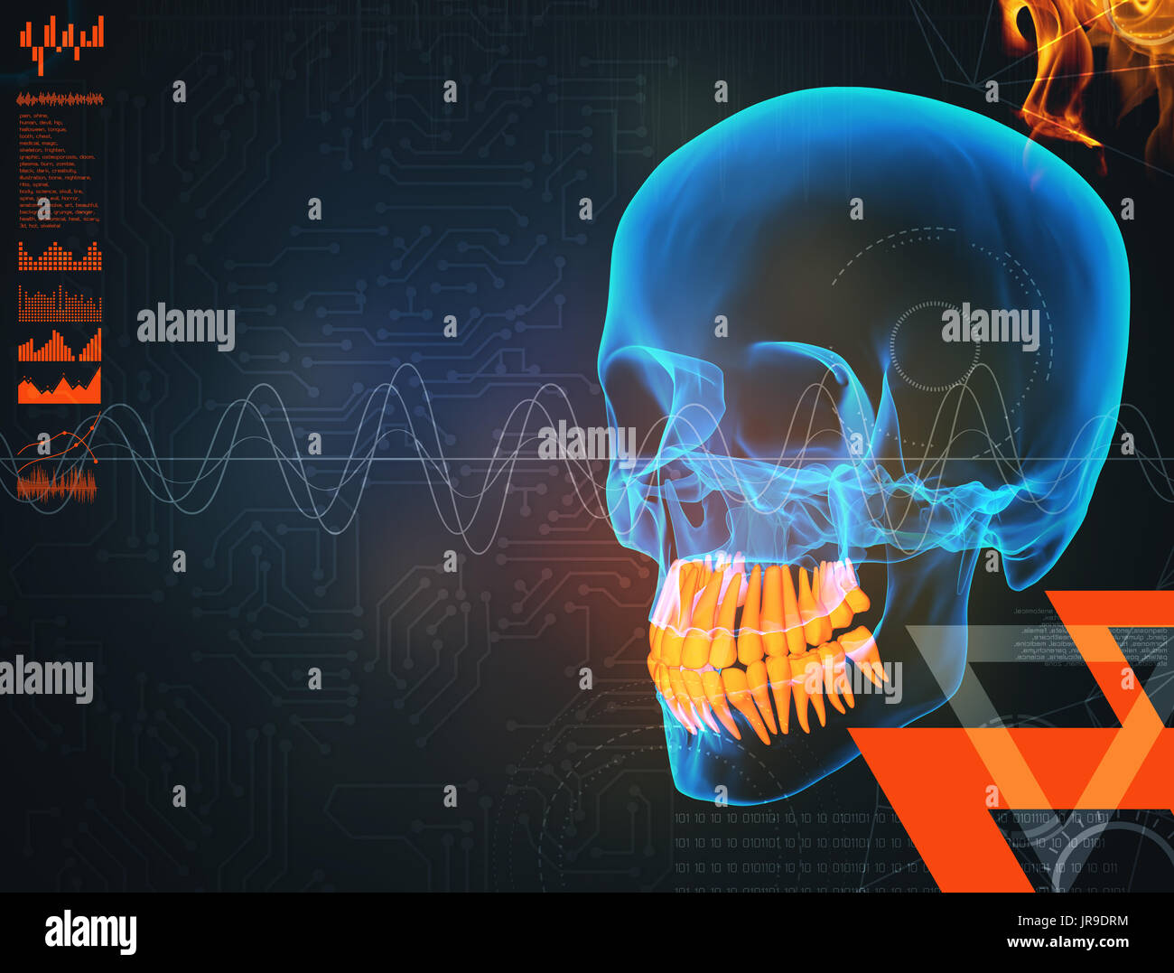 3d render human x ray skull on black background Stock Photo - Alamy