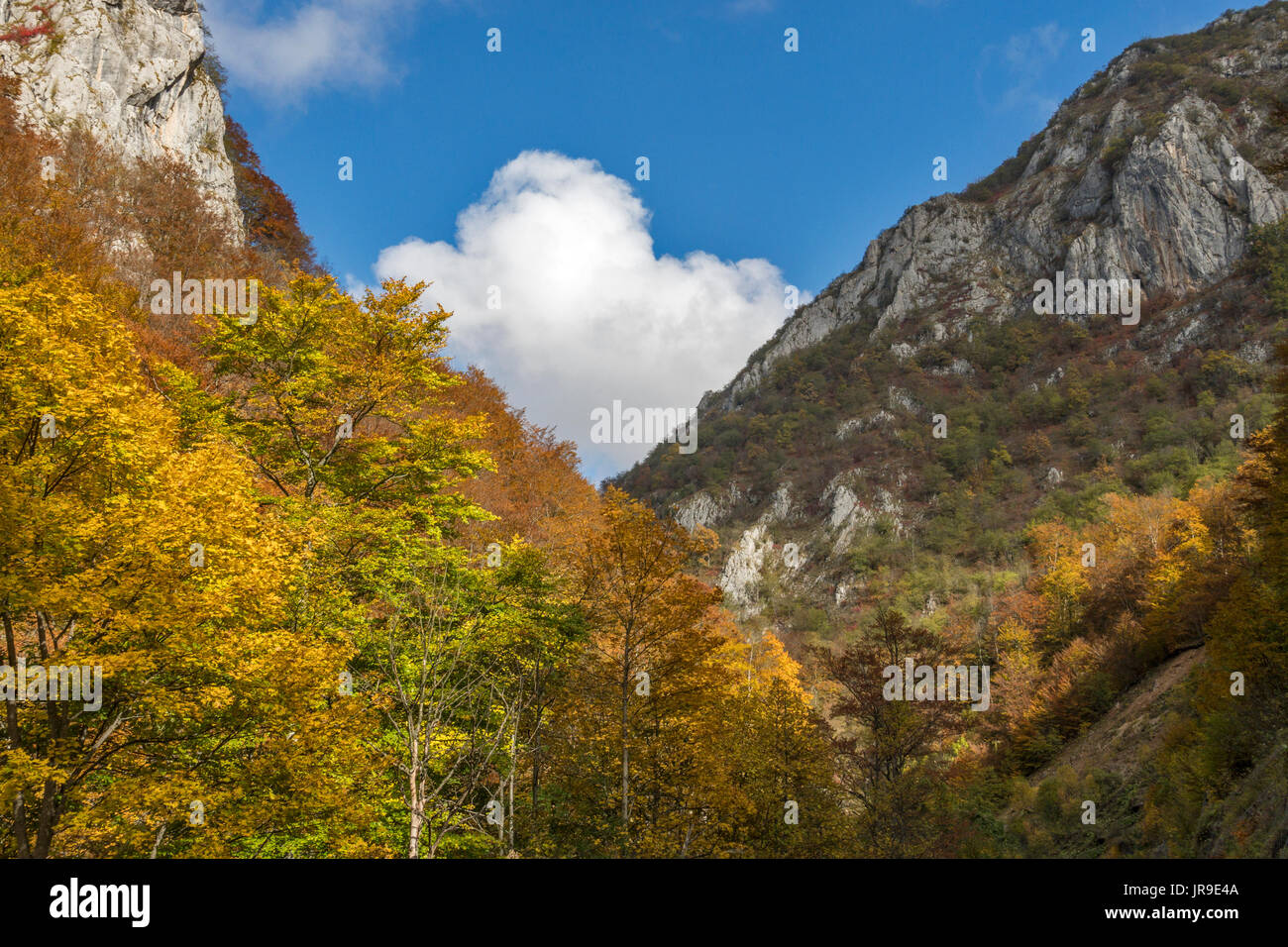 Foca bosnia hi-res stock photography and images - Alamy