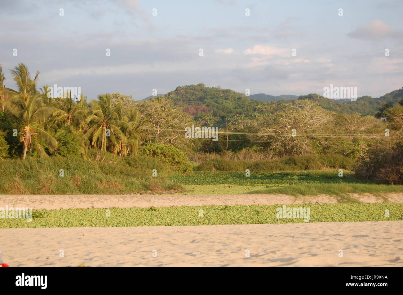 San Pancho´s Beach Mexico Stock Photo Alamy