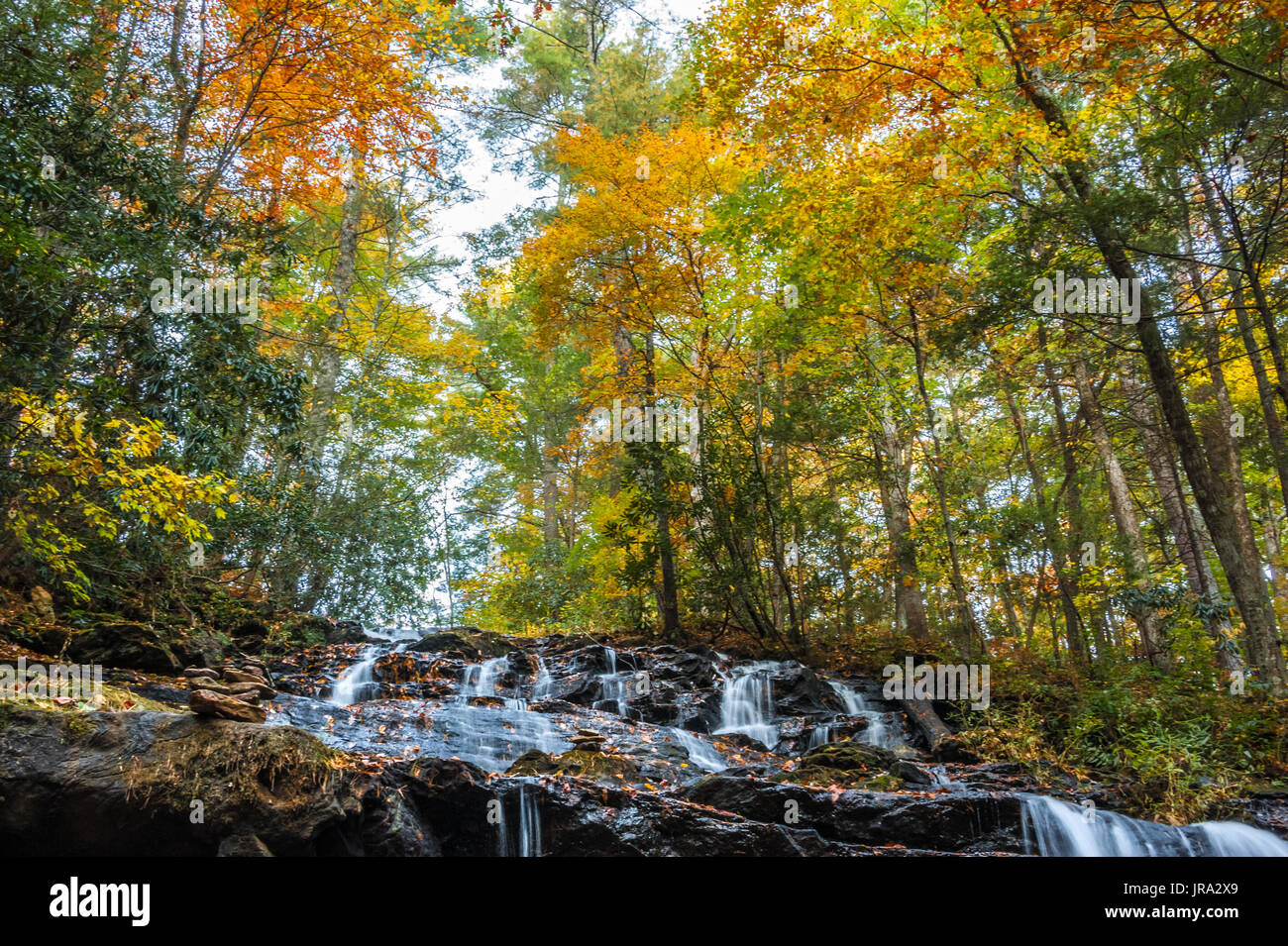 Colorful Autumn trees over beautiful Trahlyta Falls at Vogel State Park in the Blue Ridge Mountains of North Georgia. (USA) Stock Photo