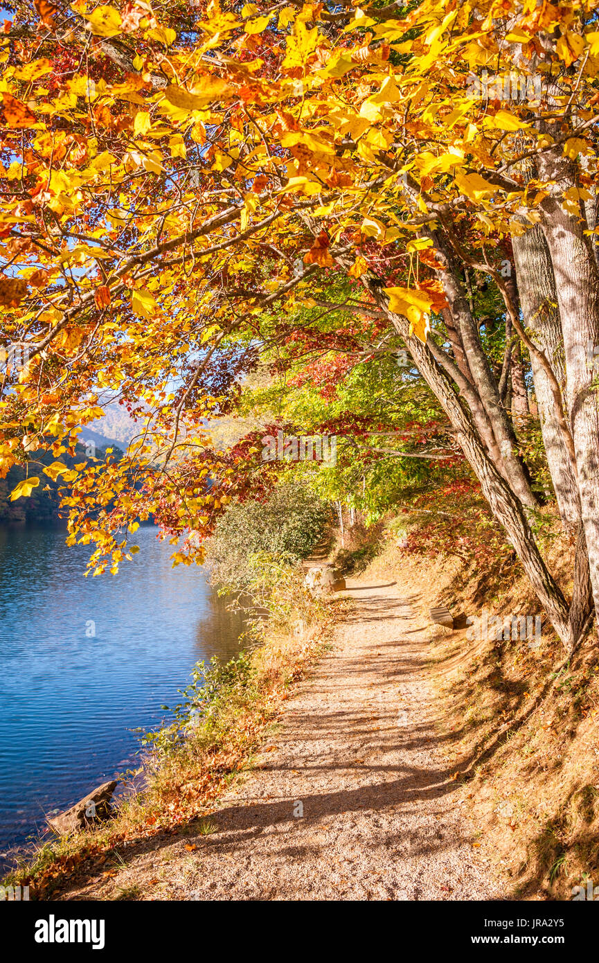 Lakeside trail under a canopy of vivid Autumn leaves at Vogel State Park in the Blue Ridge Mountains of North Georgia. (USA) Stock Photo