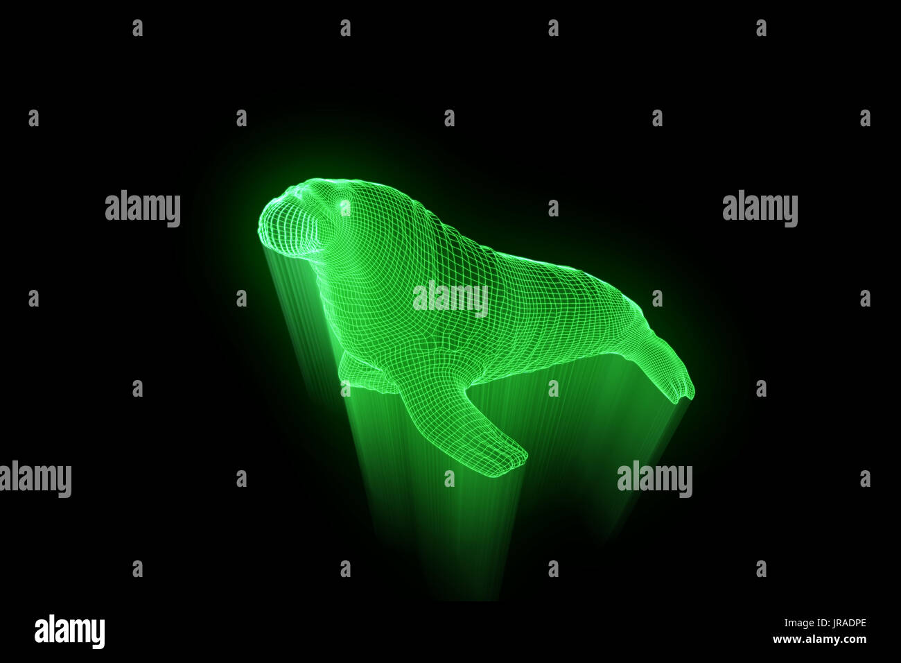 Walrus Seal in Hologram Wireframe Style. Nice 3D Rendering Stock Photo