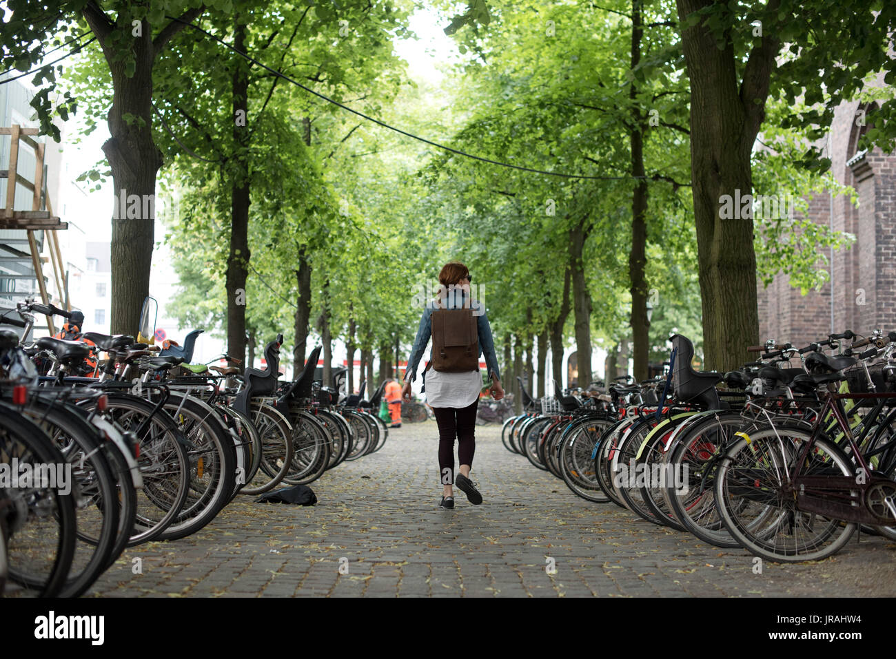 Woman walking through an avenue of bicycles, Copenhagen, Denmark Stock Photo