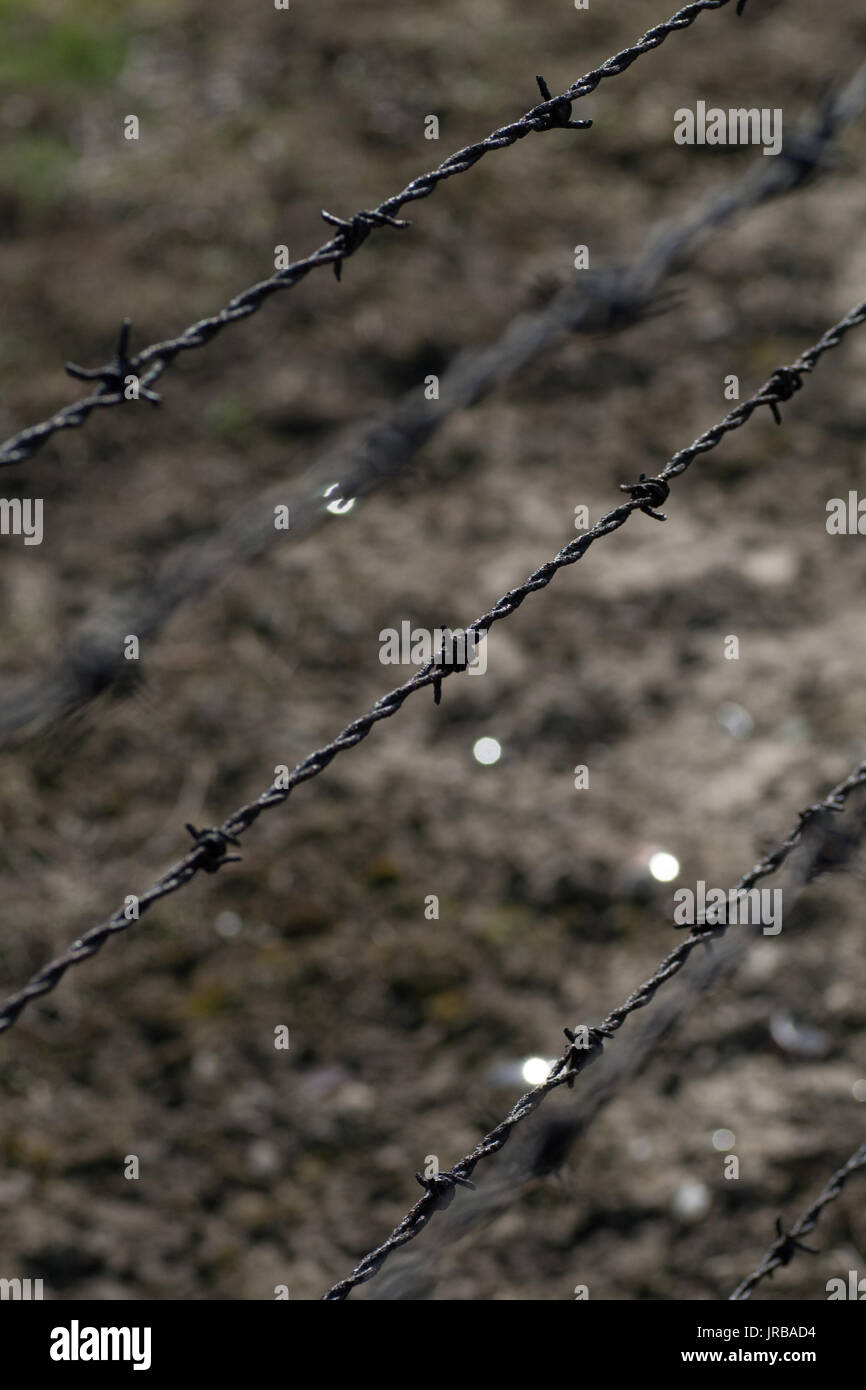 Close up of electric barbed wire fence in former Nazi Concentration Camp in Auschwitz-Birkenau, Oswiecim Brzezinka, Poland Stock Photo