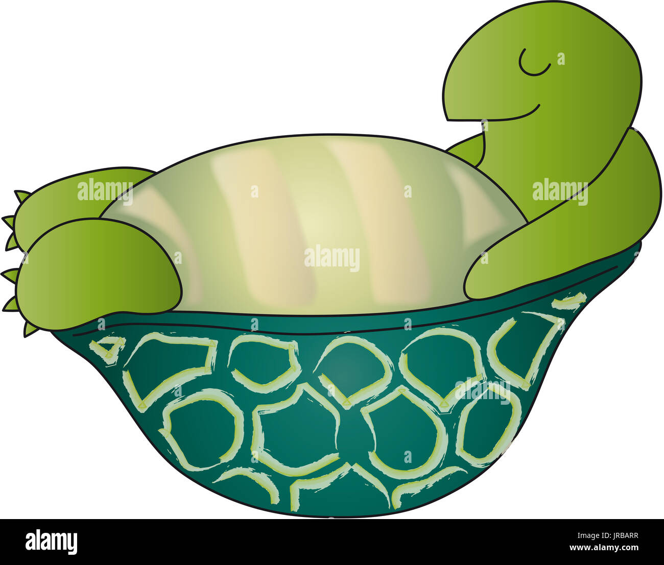 turtle isolated Stock Photo
