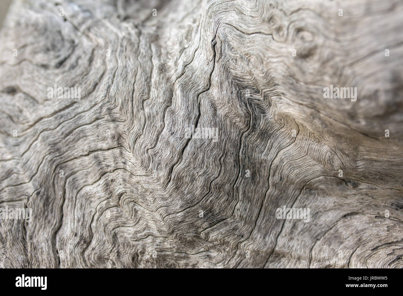 Old weathered wood background. Low DOF Stock Photo