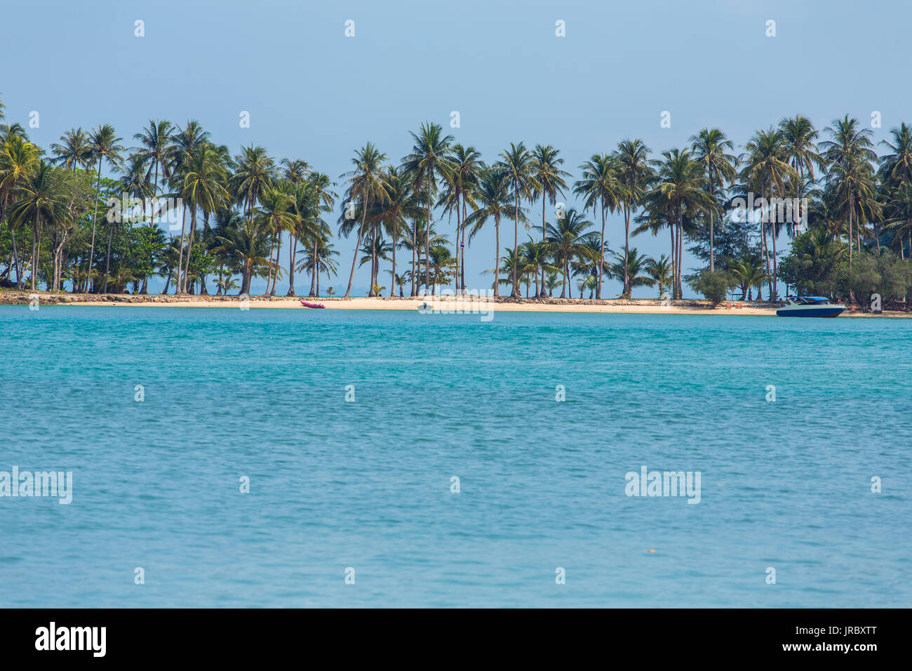 Tropical beach with palm trees hi-res stock photography and images - Alamy
