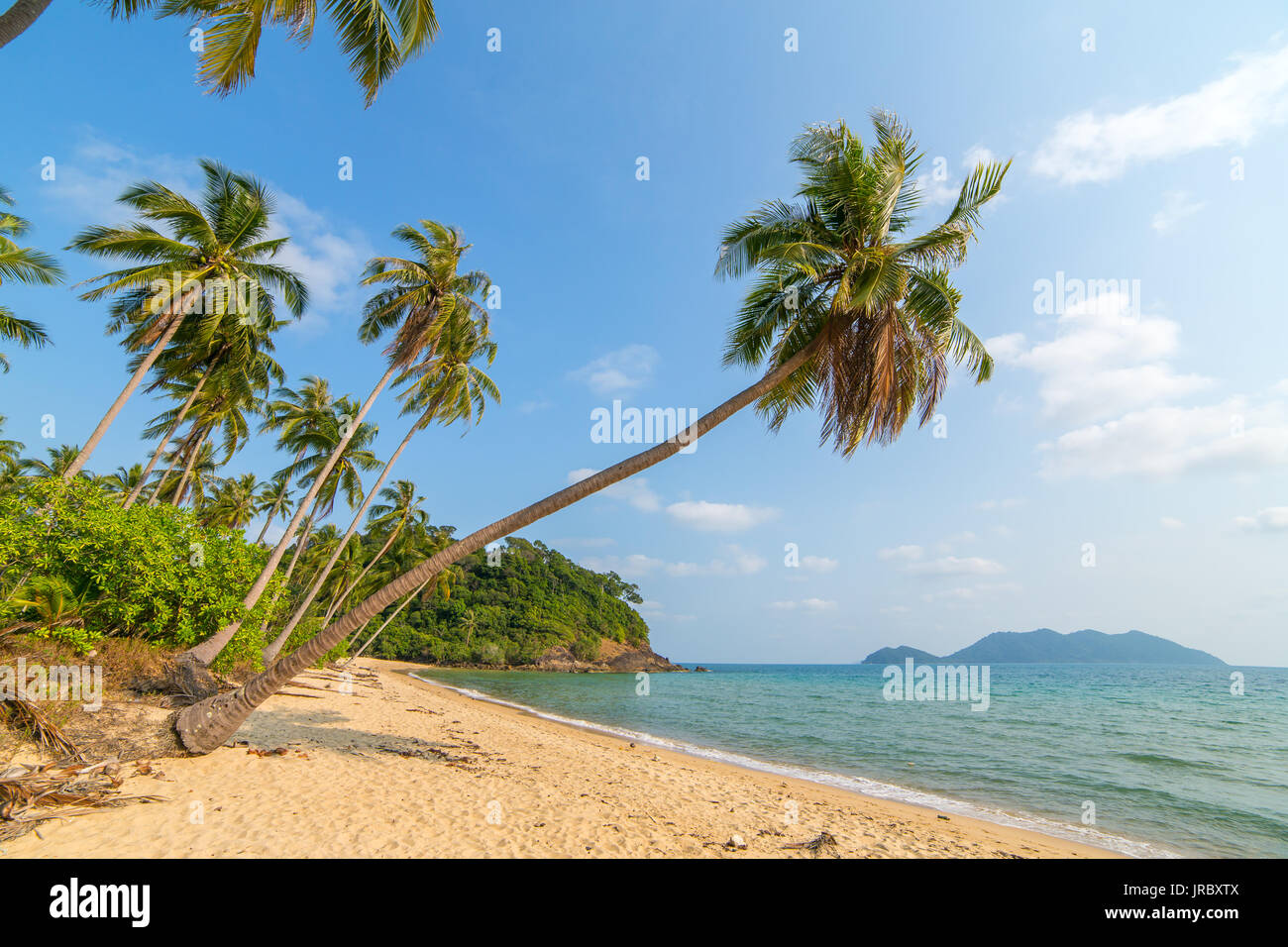 Palm trees beach thailand hires stock photography and images Alamy