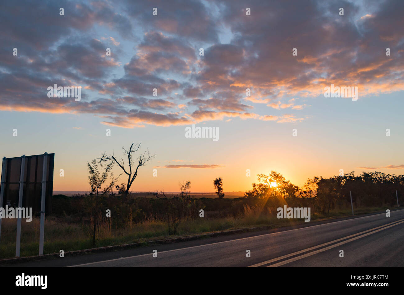 Cerrado landscape hi-res stock photography and images - Alamy