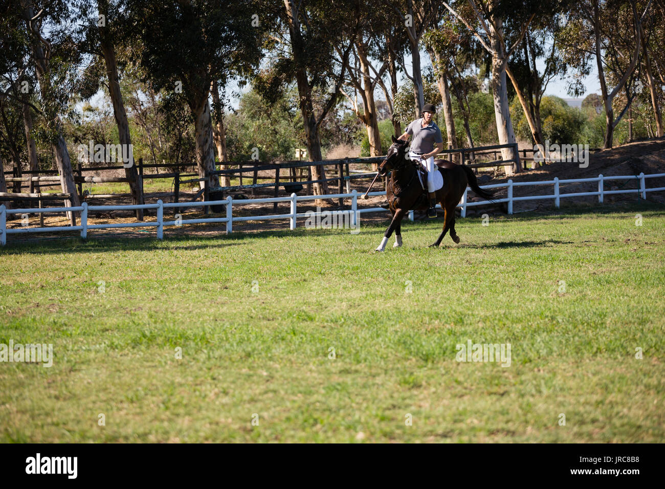 Male jockey riding a horse in the ranch on a sunny day Stock Photo