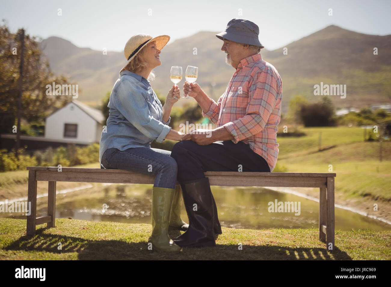 Smiling senior couple toasting glasses of wine while sitting on a bench in lawn Stock Photo