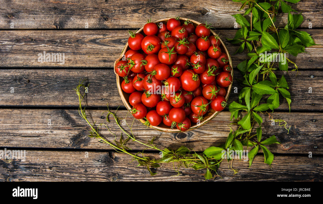 A pottery bowl filled with sunriped tomatoes on a rustic wooden terrace floor surrounded with Virginia creeper Stock Photo