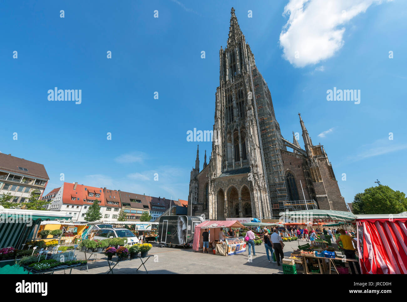 Market in front of the Münster, Münsterplatz, Ulm, Baden-Württemberg, Germany Stock Photo