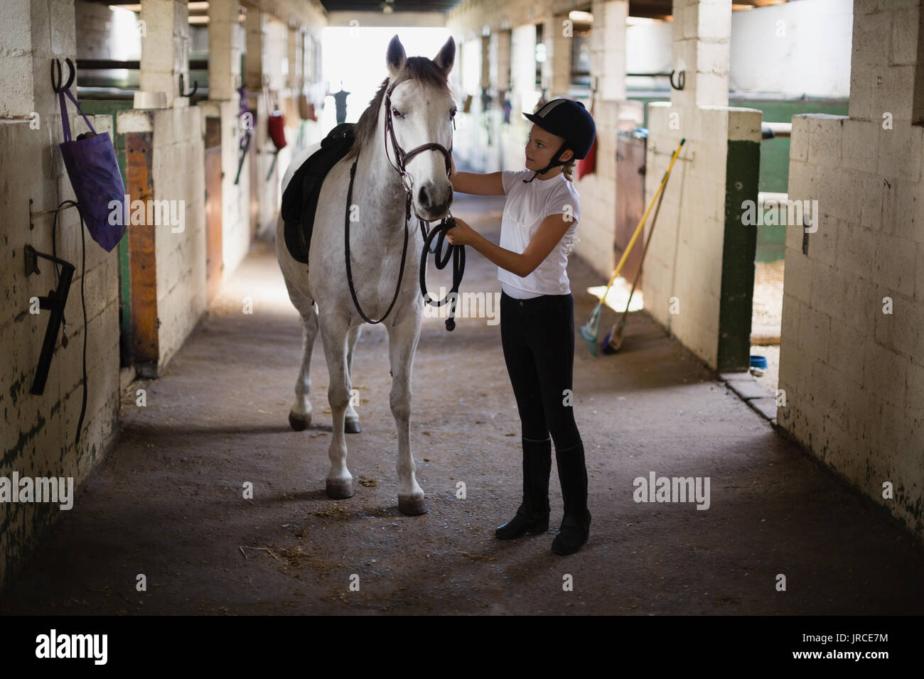 Teenage girl standing with horse in the stable Stock Photo - Alamy
