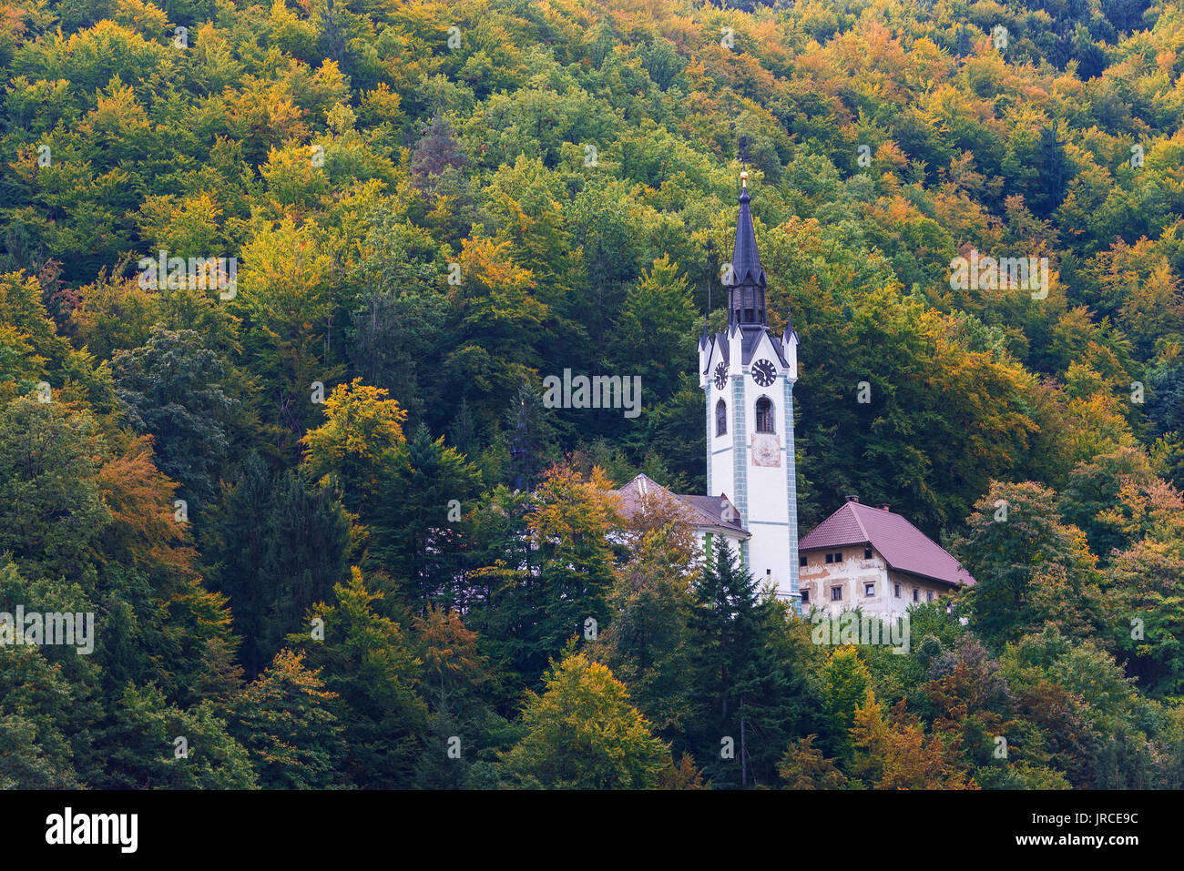 A roman catholic church in a forest on a hill surrounded by trees with autumn foliage in fall season near Bled in Slovenia. Stock Photo