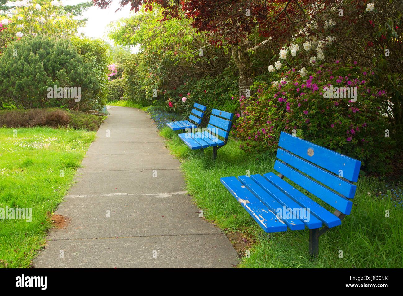 Park bench, Azalea Park, Brookings, Oregon Stock Photo