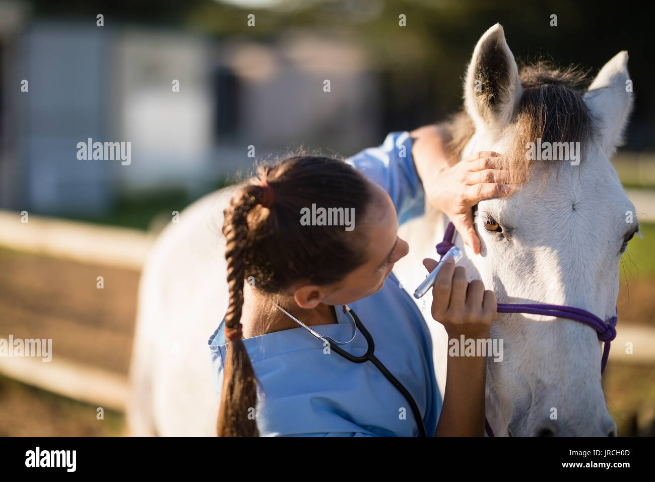 Horse eye vet hi-res stock photography and images - Alamy