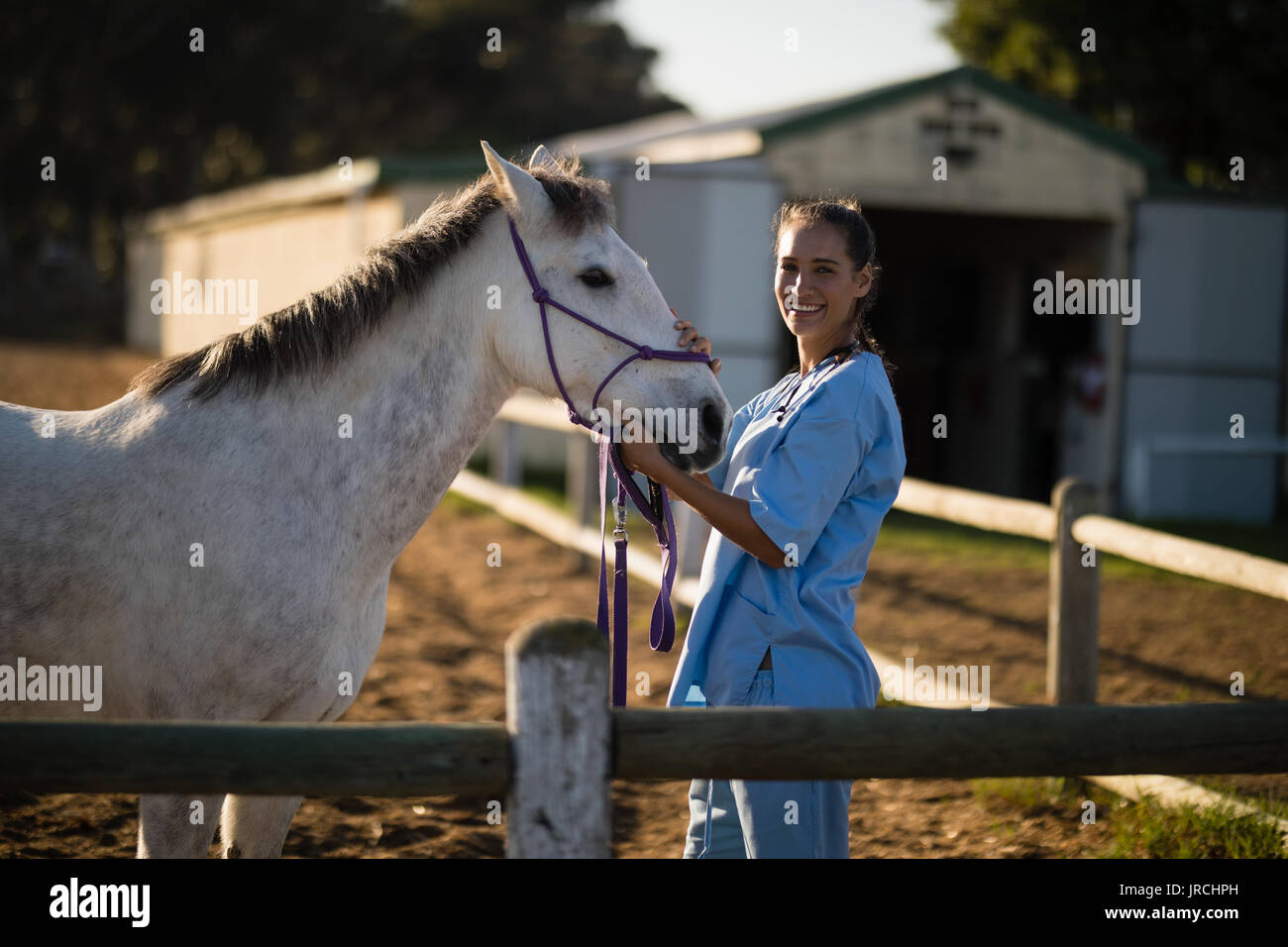 White horse medical check up hires stock photography and images Alamy