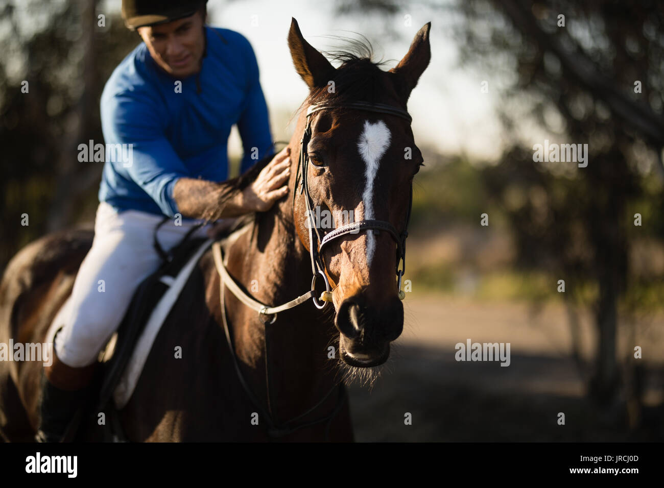 Male jockey riding horse at barn Stock Photo