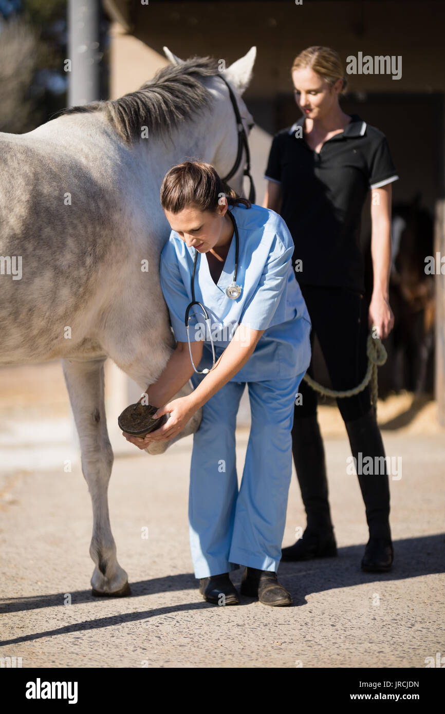 Veterinarian horse hoof hi-res stock photography and images - Alamy