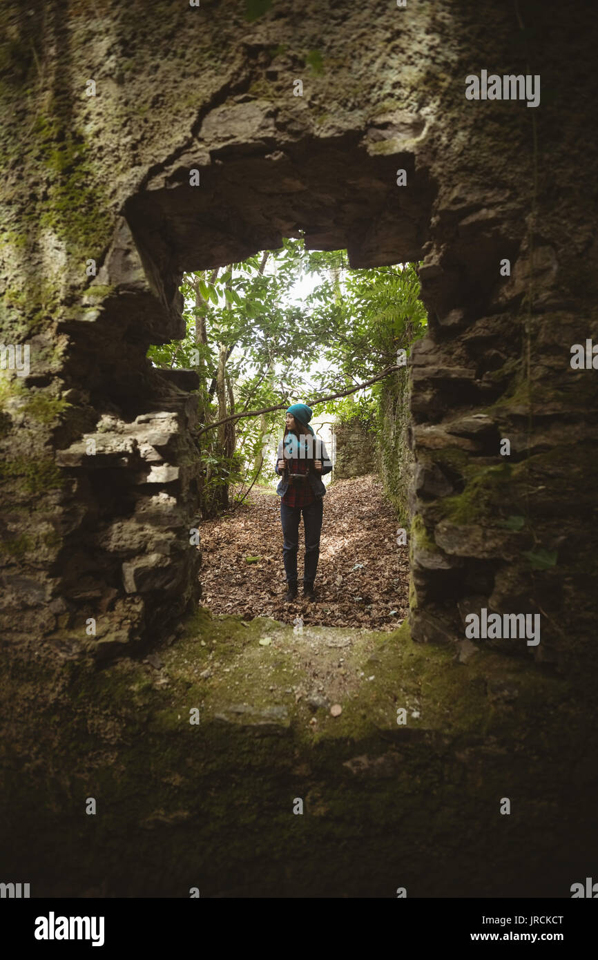 Woman photographer forest hi-res stock photography and images - Alamy