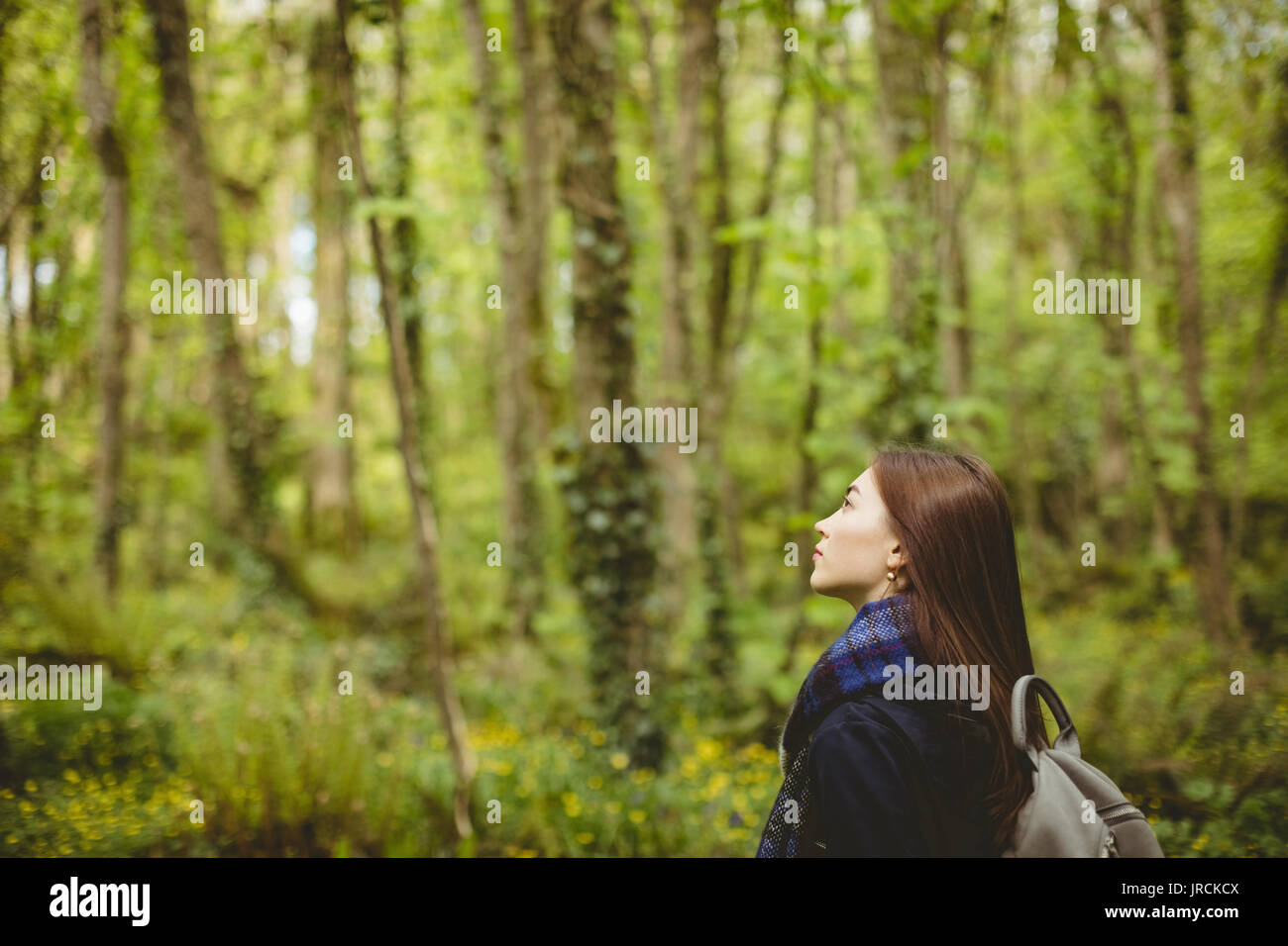 Thoughtful woman standing in forest Stock Photo