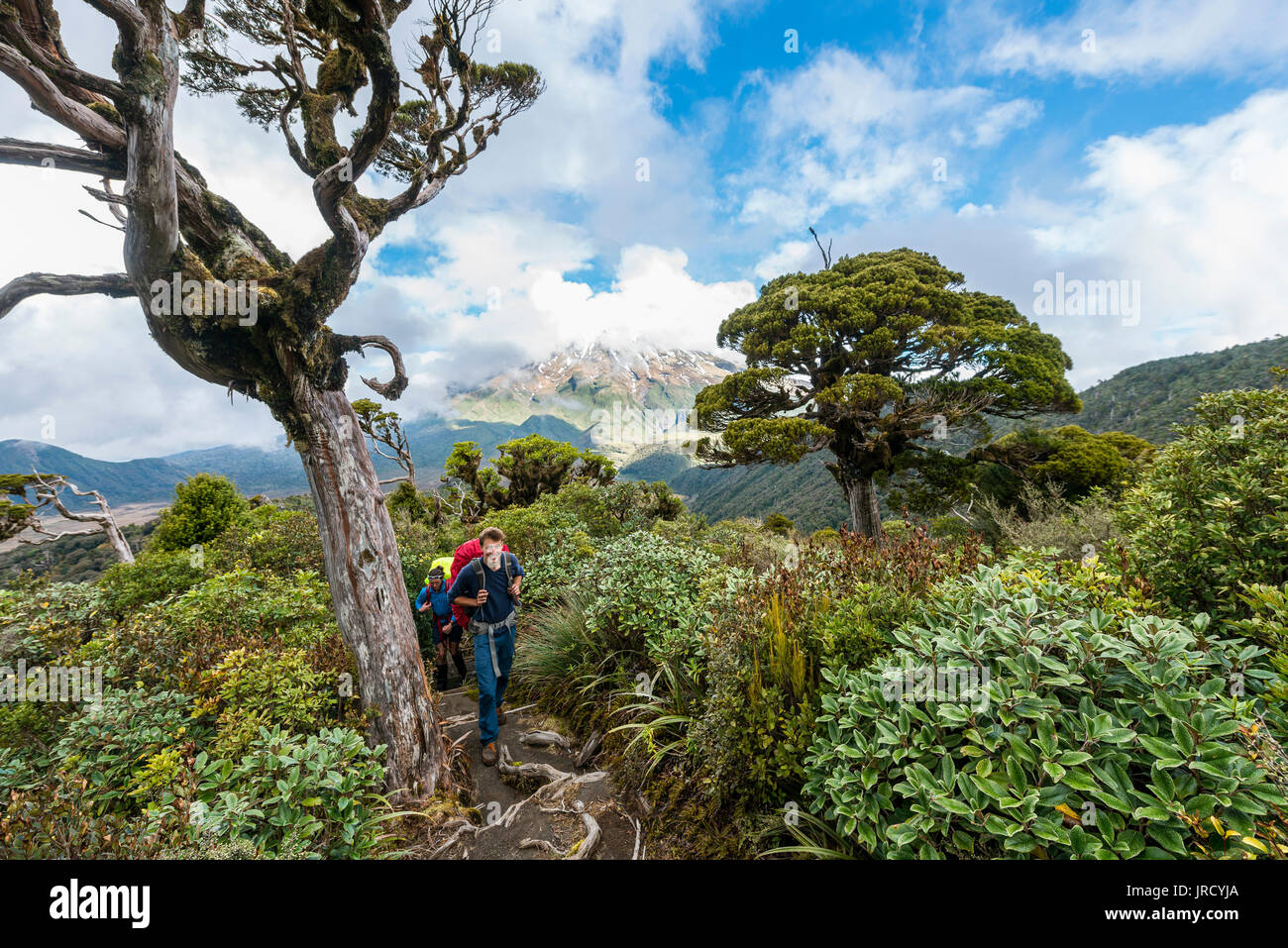 Mount Taranaki Hiker Hi res Stock Photography And Images Alamy mount-taranaki-hiker-hi-res-stock-photography-and-images-alamy