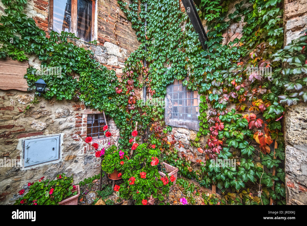rustic corner in Tuscany,Italy Stock Photo - Alamy