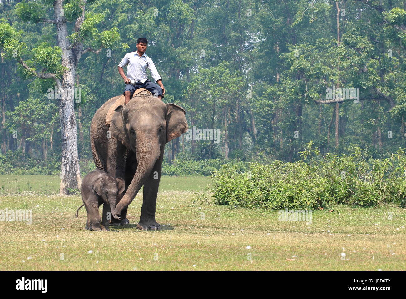 Nepalese family hires stock photography and images Alamy