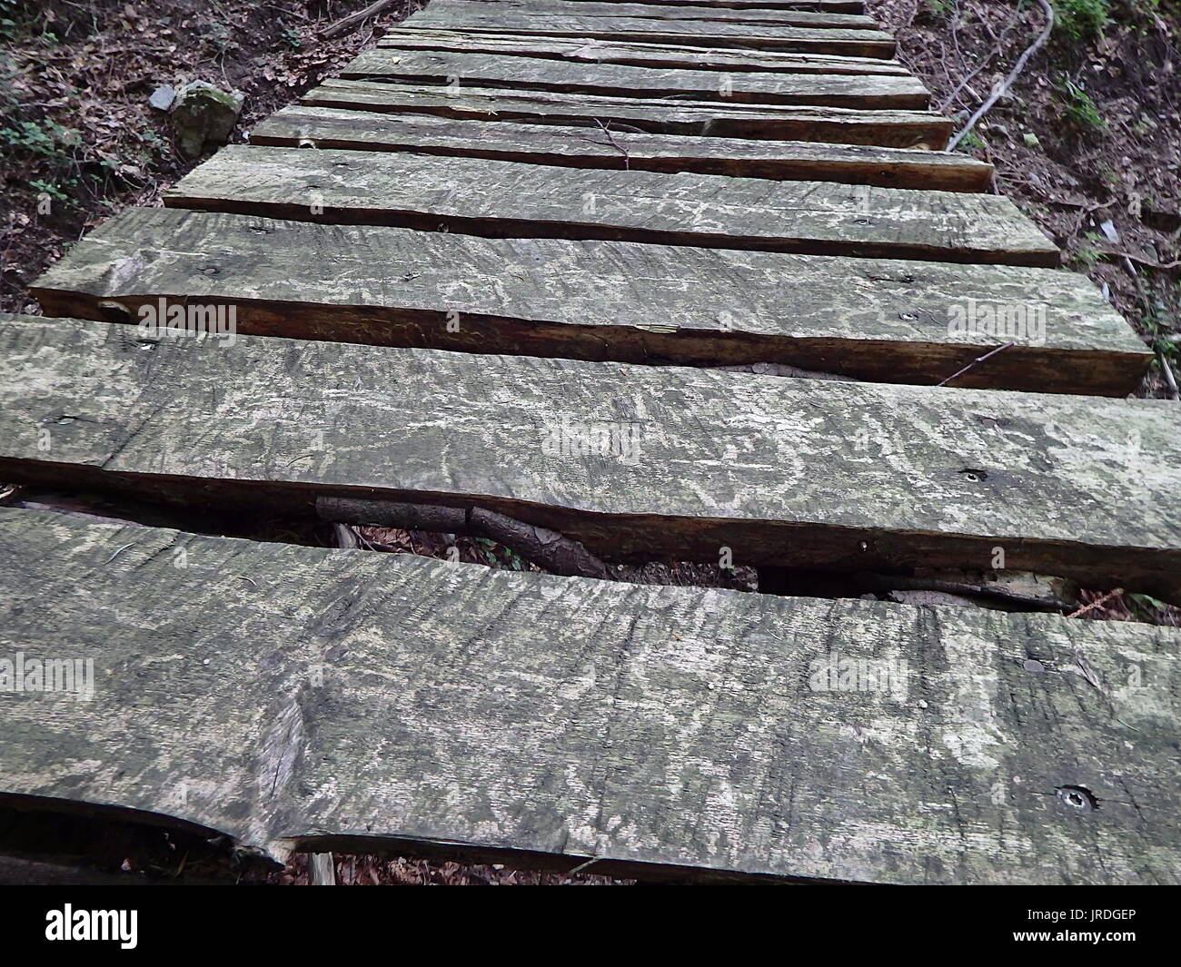 Wooden bridge in the forest Stock Photo - Alamy
