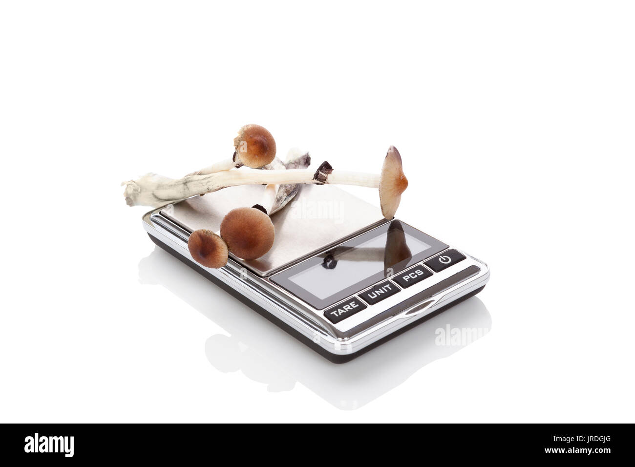 Magic mushrooms on digital scale isolated on white background. Psychedelic medicine. Natural remedy. Stock Photo