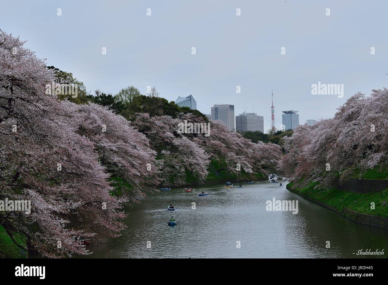 The 15 Best Places to Visit in the USA in the Spring – Wandering Wheatleys Best places to visit in spring