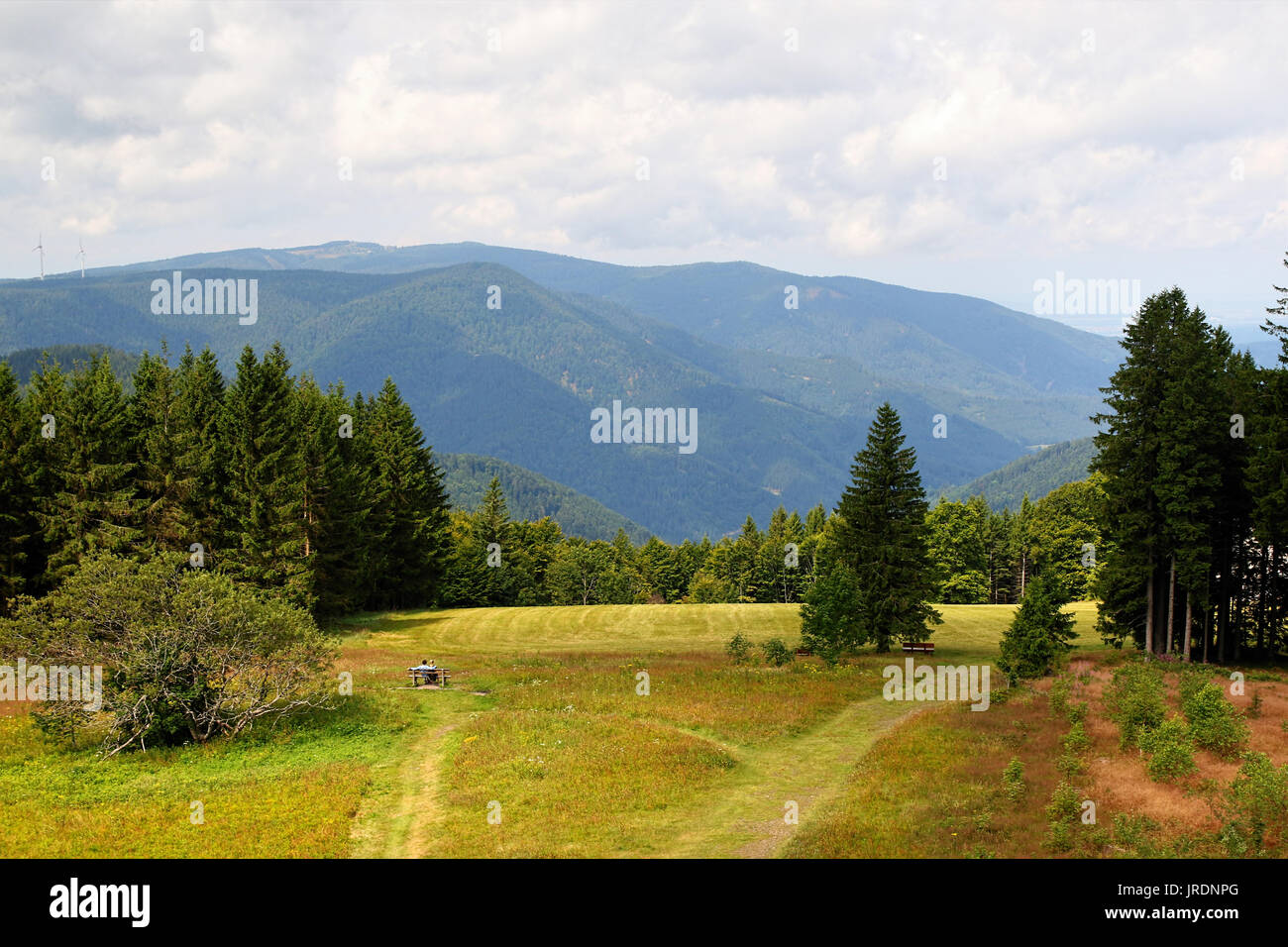 Scenic countryside landscape in the Black Forest: green summer mountain valley with forests, fields and old houses in Germany Stock Photo