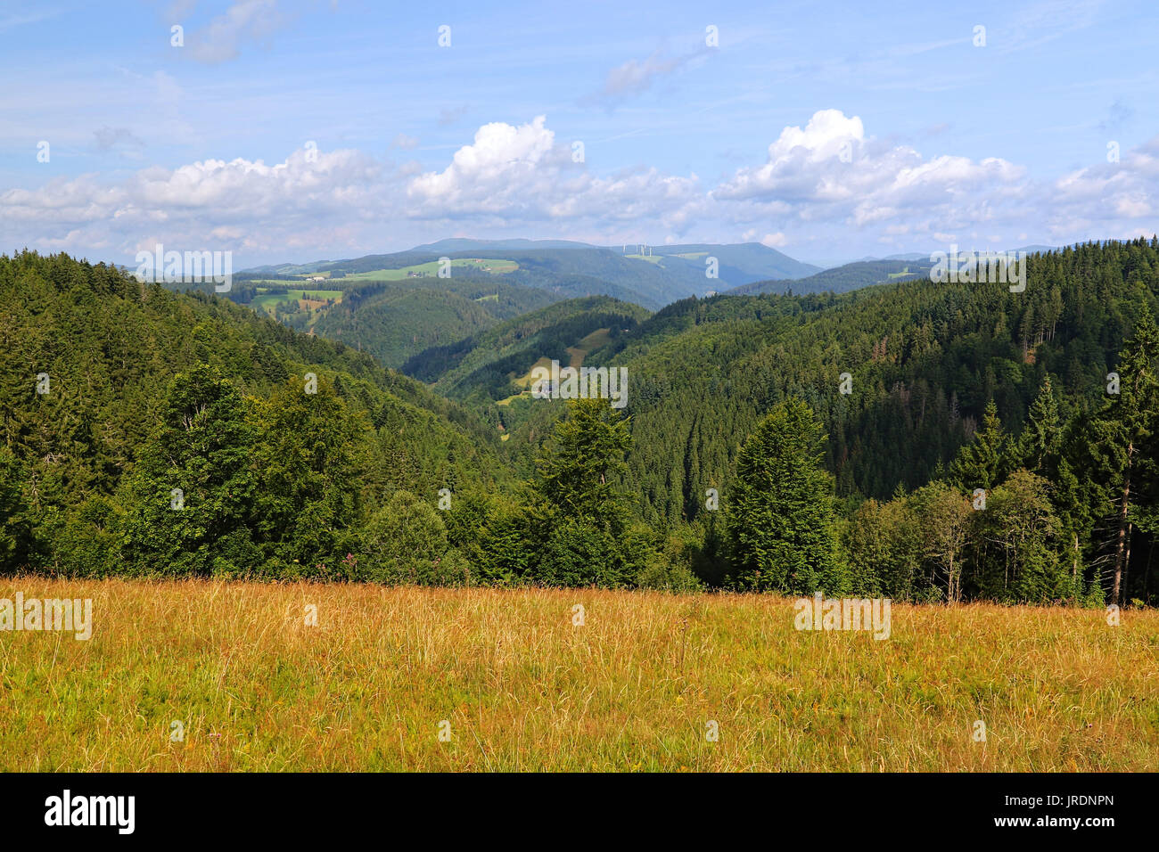 Scenic countryside landscape in the Black Forest: green summer mountain valley with forests, fields and old houses in Germany Stock Photo