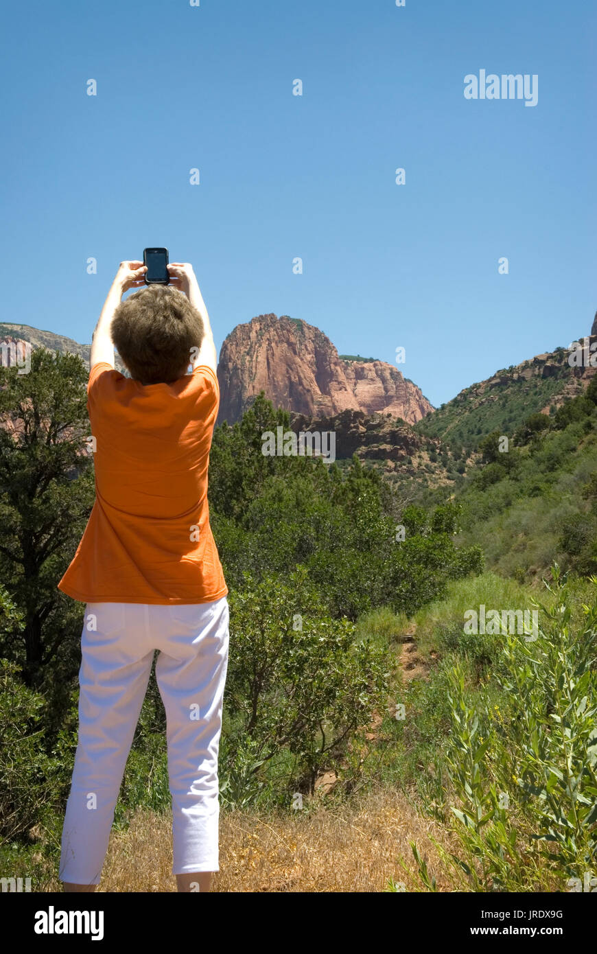 Caucasian Senior Female wearing orange shirt (age 60-70) taking photo with cellphone at  Zion National Park Springdale Utah USA. Stock Photo