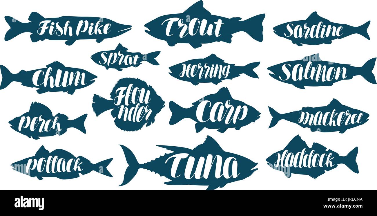 Fish, collection labels or logos. Seafood, food, fishing, angling set icons. Handwritten lettering, calligraphy vector illustration Stock Vector
