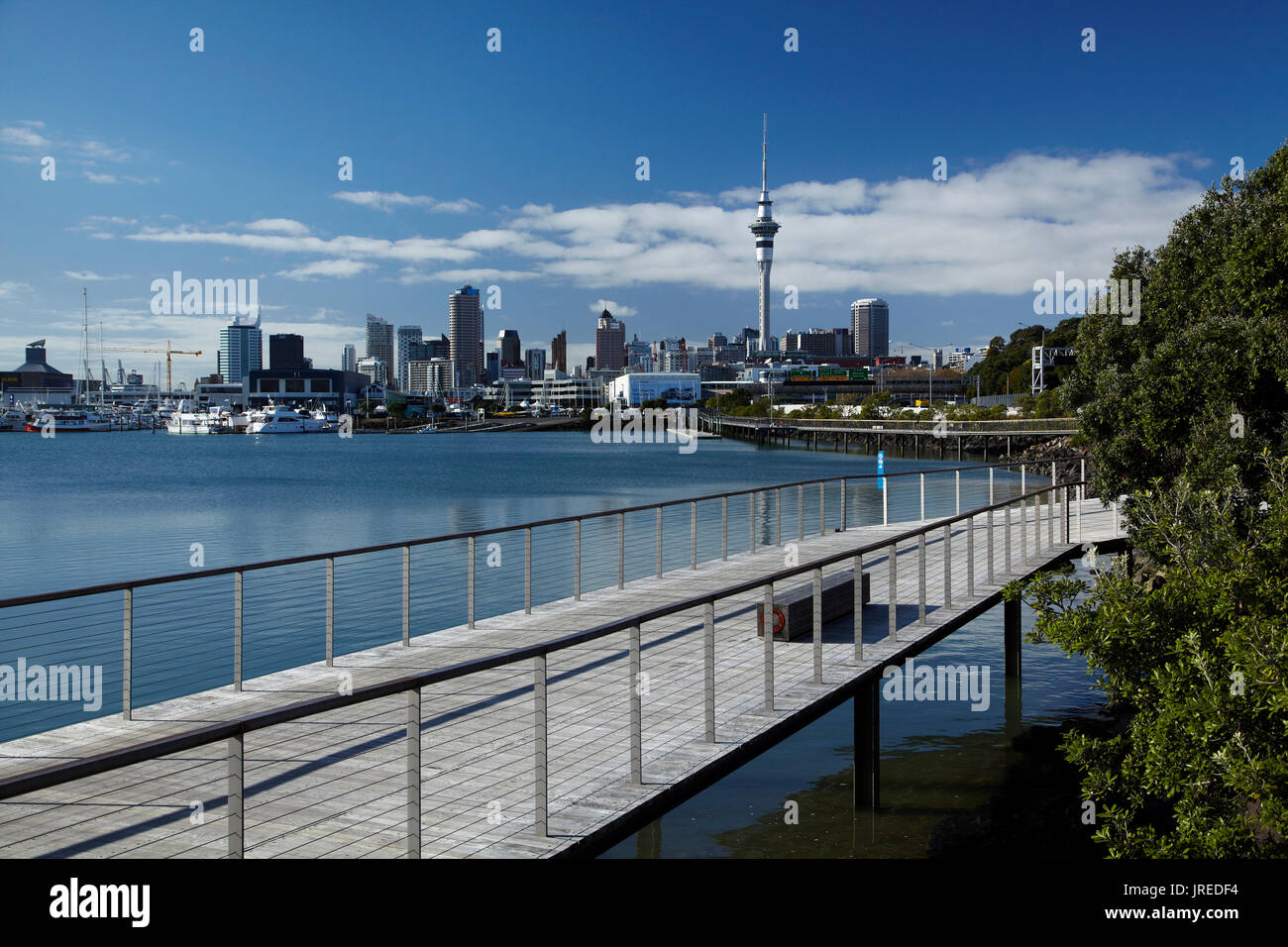 Sky Tower, Auckland CBD, and Westhaven Prominade, St Marys Bay, Auckland, North Island, New Zealand Stock Photo