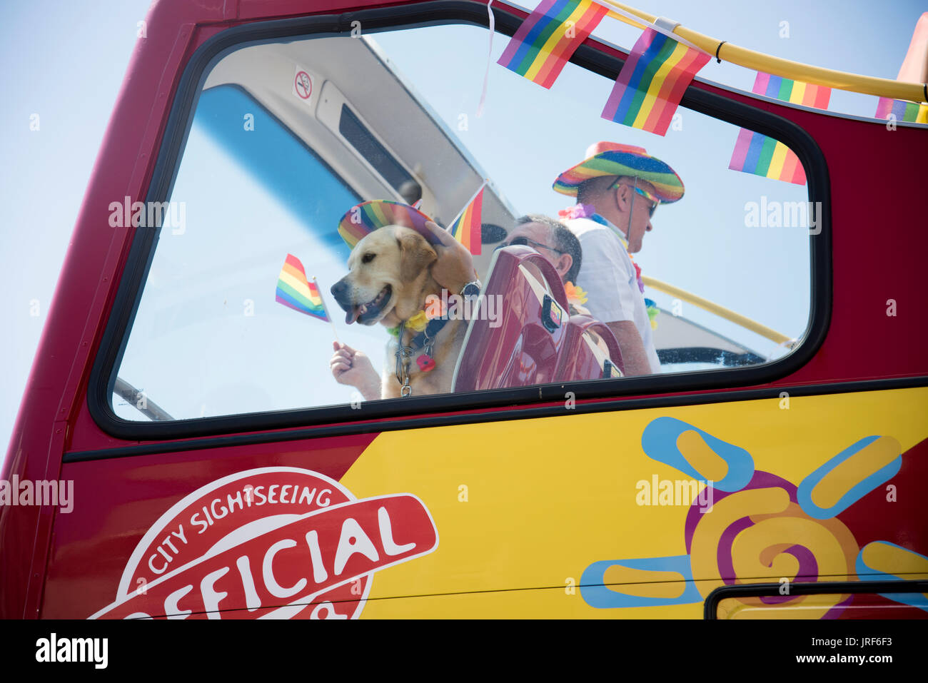 Brighton, UK. 5th August, 2017. Feline friends at the Gay Pride Celebrations in Brighton, 5th August 2017. Credit: Lucy Ranson/Alamy Live News Stock Photo
