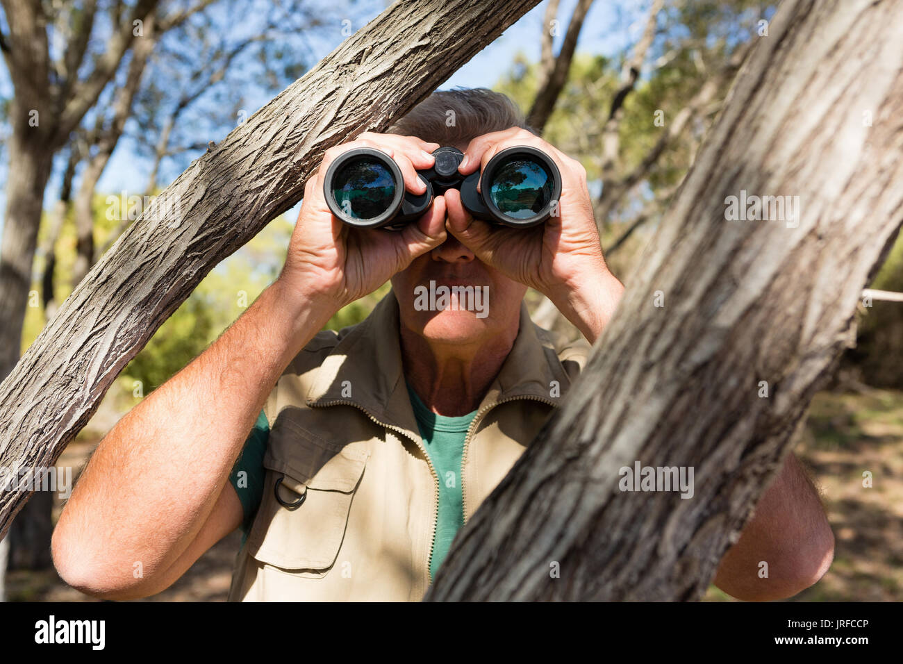 Mature man by tree looking through binocular at forest Stock Photo Alamy