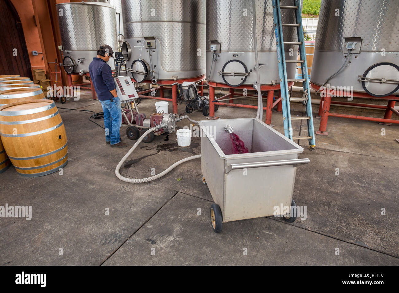winery worker, pumping wine, fermentation area, Vineyards