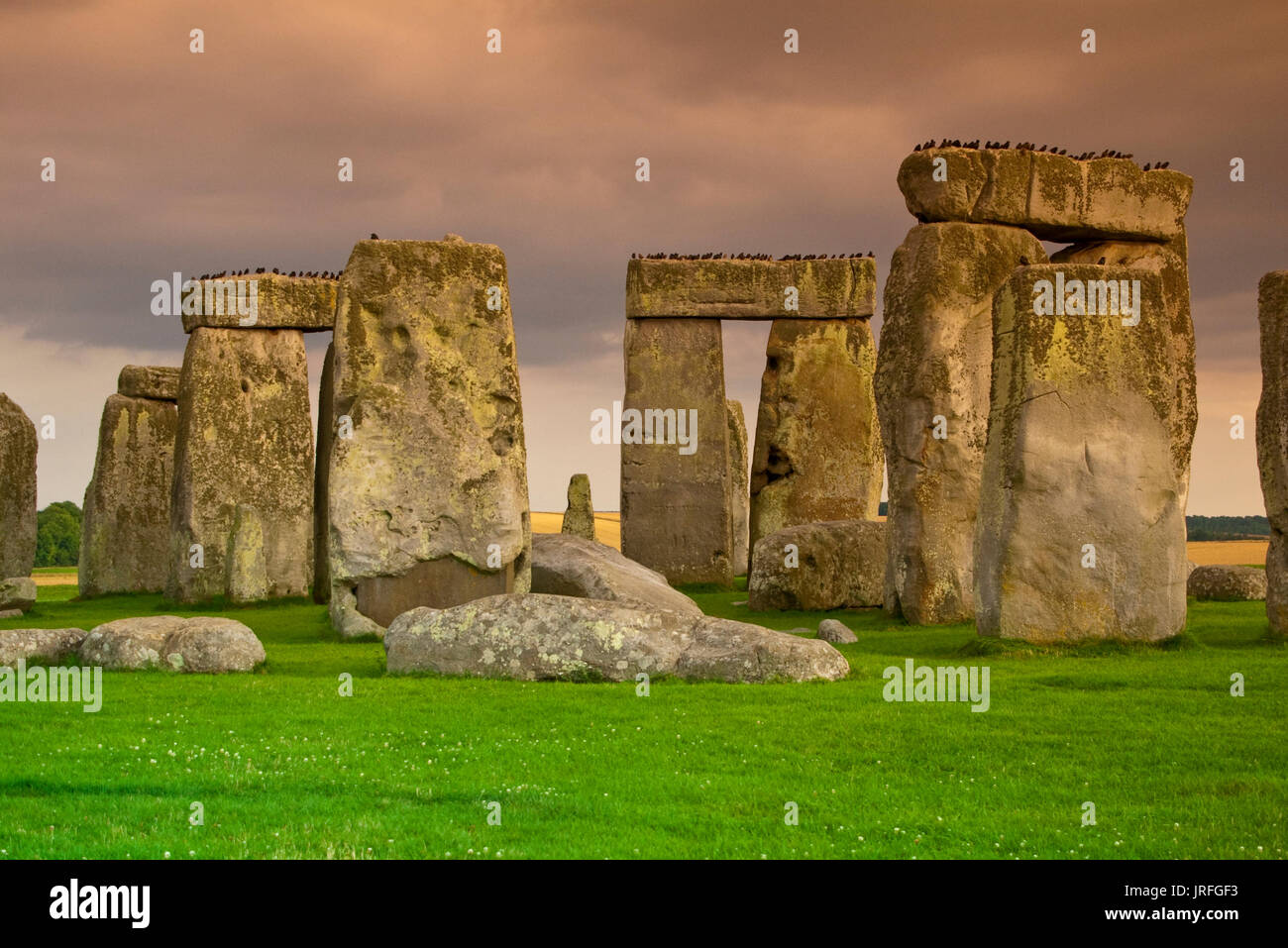 stonehenge tobacco Detail of Stonehenge Tobacco filter Stock Photo