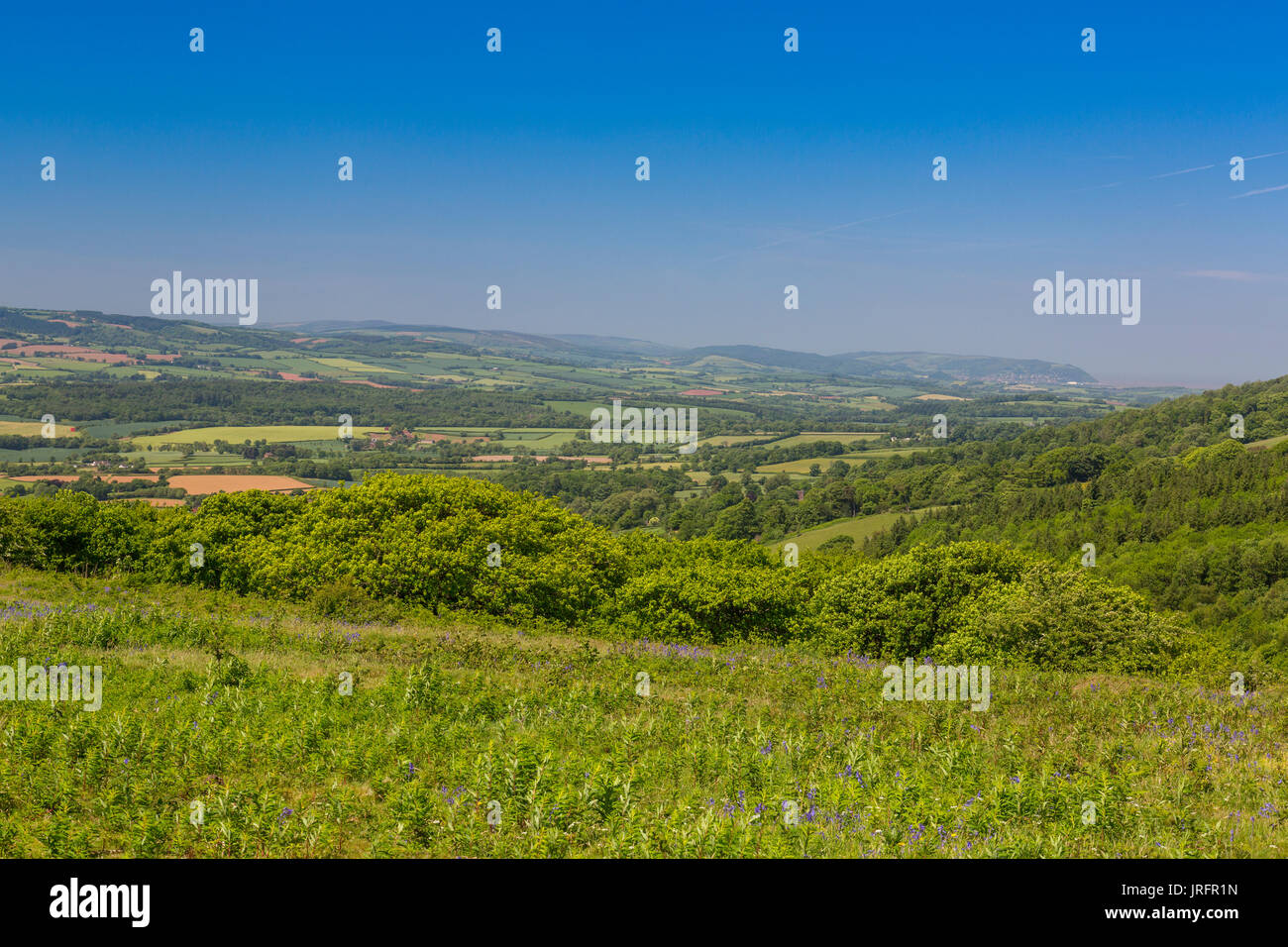 Looking north from the summit of Cothelstone Hill on the Quantock Hills towards Vale of Taunton Deane and Exmoor, Somerset, England, UK Stock Photo