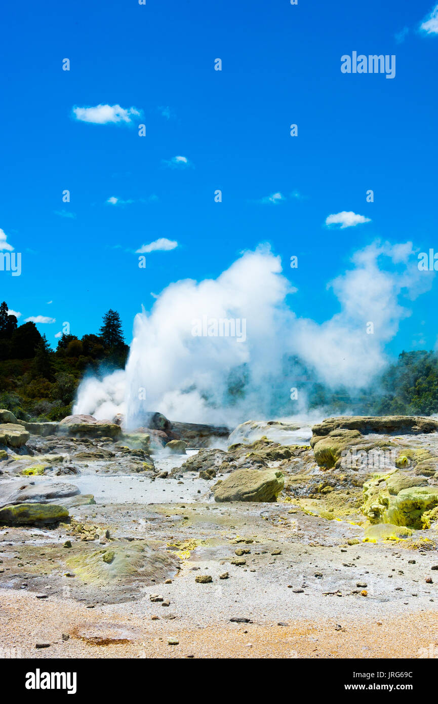 Geyser - Rotorua, New Zealand Stock Photo - Alamy