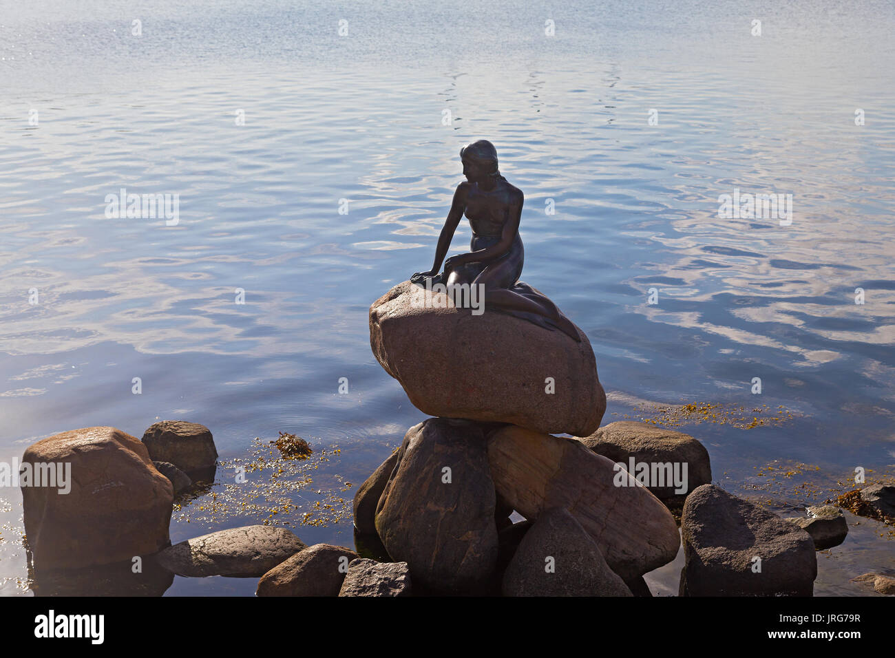 Mermaid Net Sea Coast On Rocks Stock Photo 2063983949