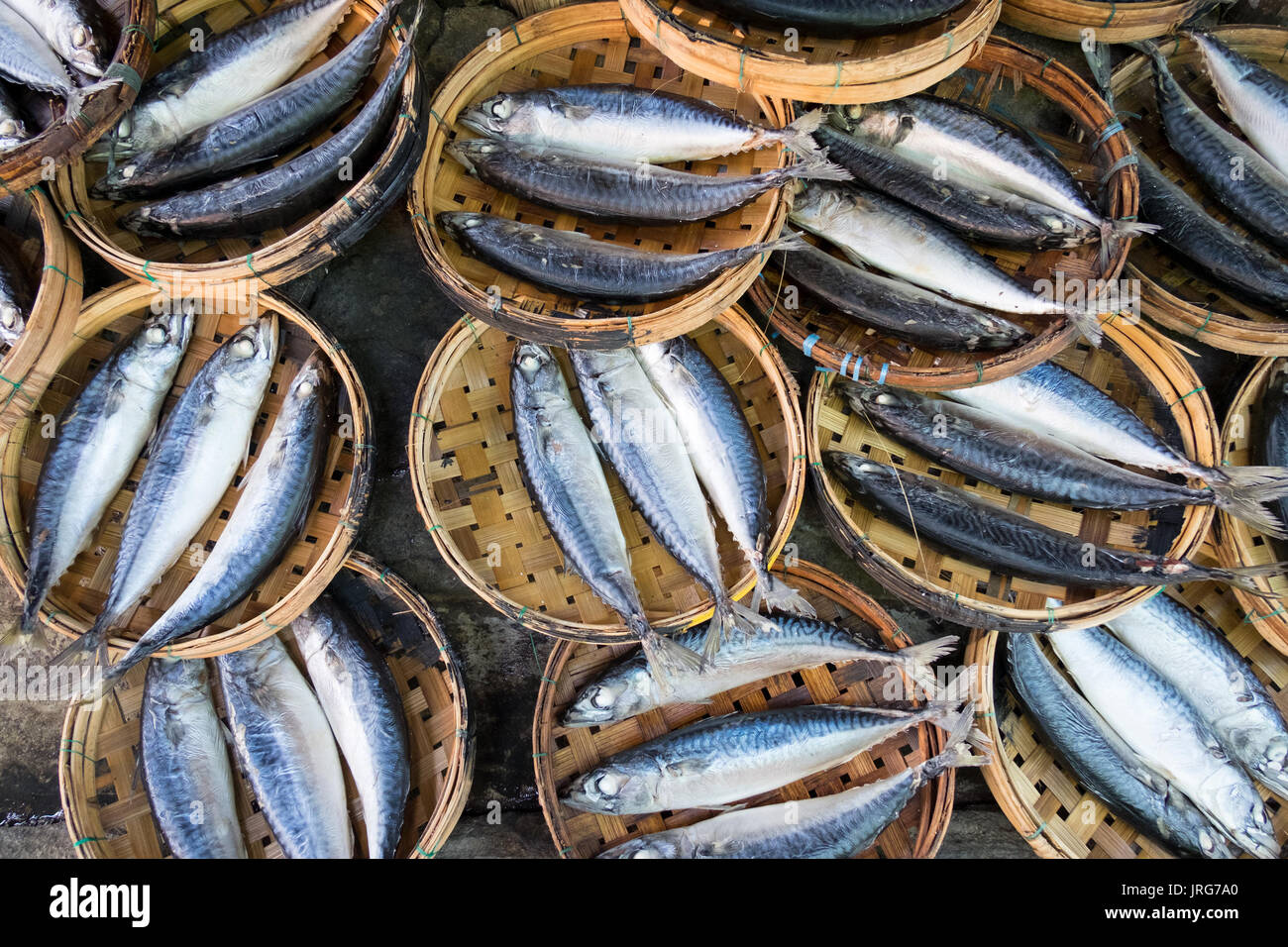 Fish are set out in bamboo baskets to dry in the sun ready to sell at