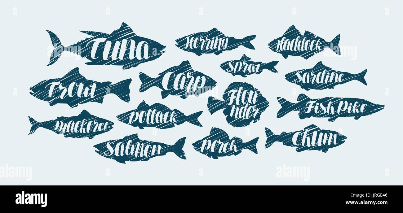 Fish, seafood icons set. Sketch vector illustration Stock Vector