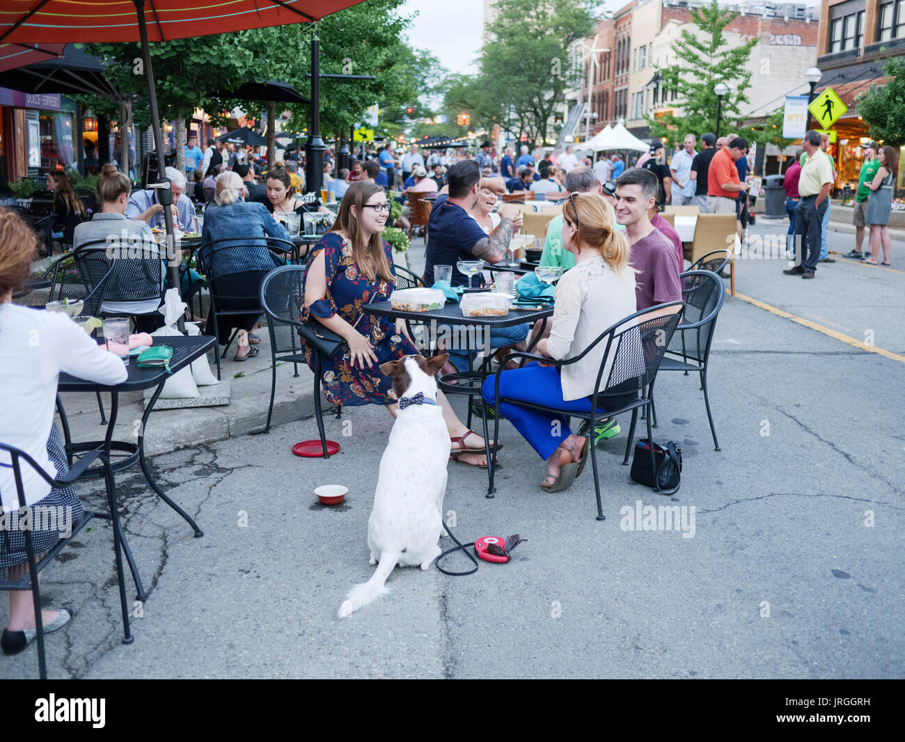 Dog waiting hopefully at table. Sidewalk café, Ann Arbor Michigan. Stock Photo