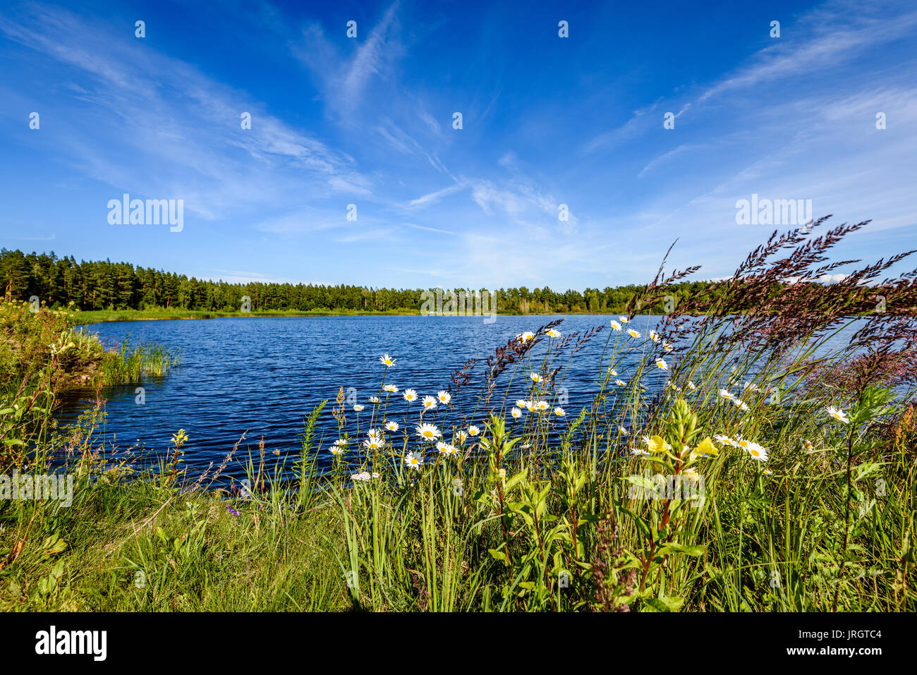 reflection of clouds in the lake with forest and trees in background ...