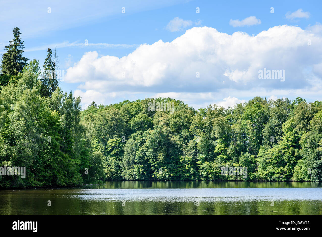 reflection of clouds in the lake with forest and trees in background ...