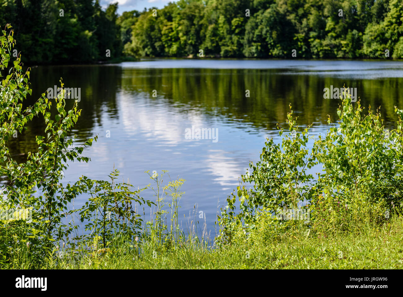 reflection of clouds in the lake with forest and trees in background ...